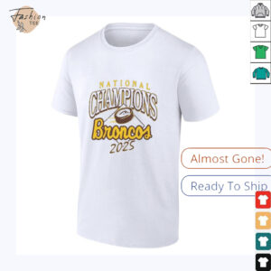 Summit Sportswear HEATHER Western Michigan Broncos 2025 National Mens Hockey...