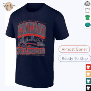 I got this shirt in Chicago Illinois shirt