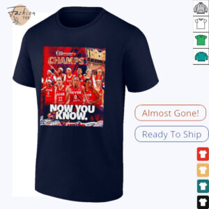 Indiana Fever 2025 WNBA Commissioner’s Cup Champs now you know...